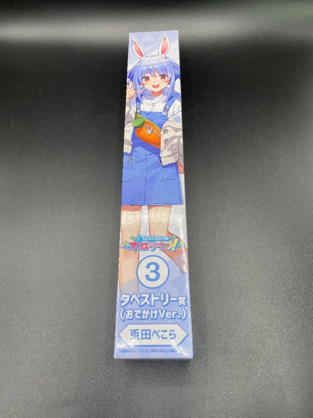 Hololive Usada Pekora Tapestry Scroll 3 (Going Out Version) Kuji Hololife New